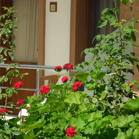 Ozukara 1 Hotel *