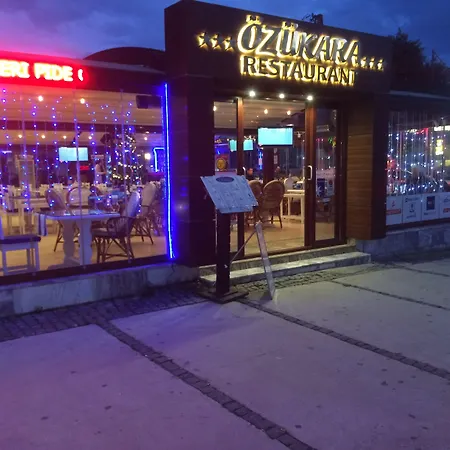 Ozukara 1 *