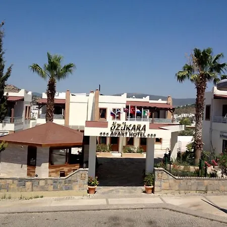 Ozukara 1 מלון *